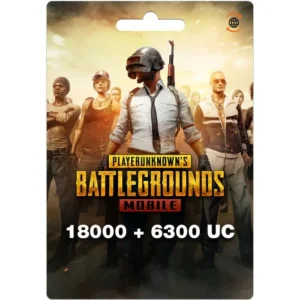 PUBG Gift Card United States Region – USD (Email Delivery) - 24300 UC